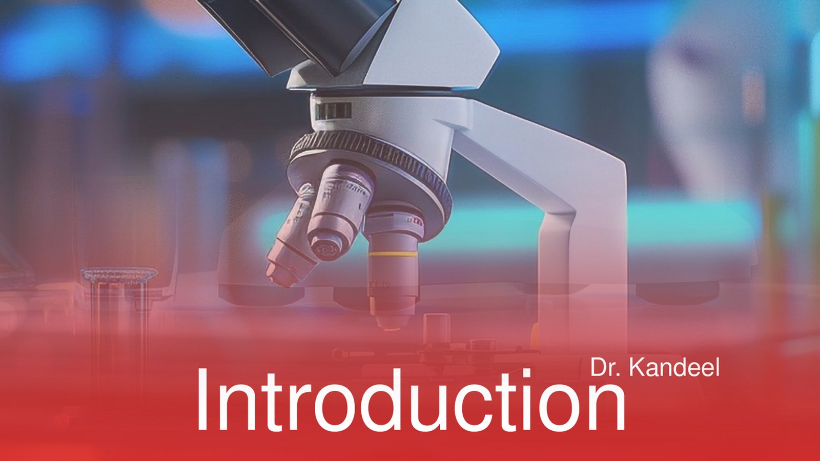 first semester :introduction