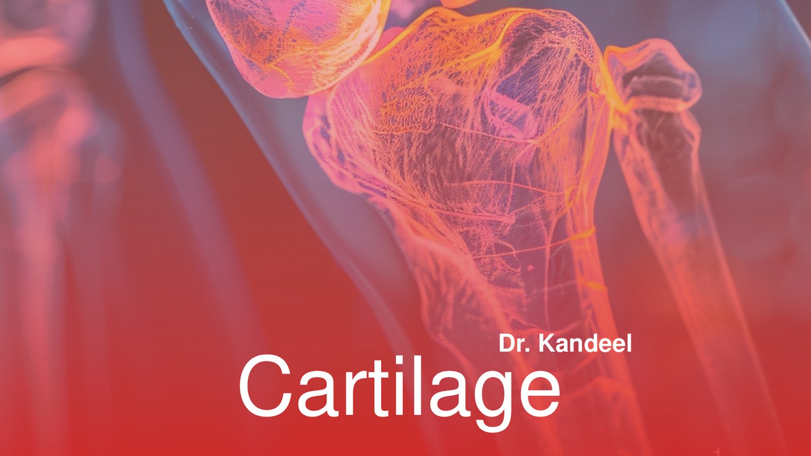 Histology part 1 : cartilage