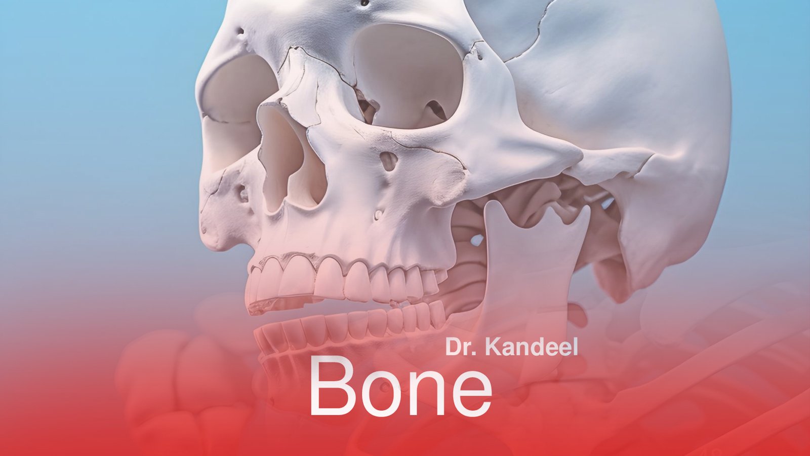 Histology part 1 : Bone