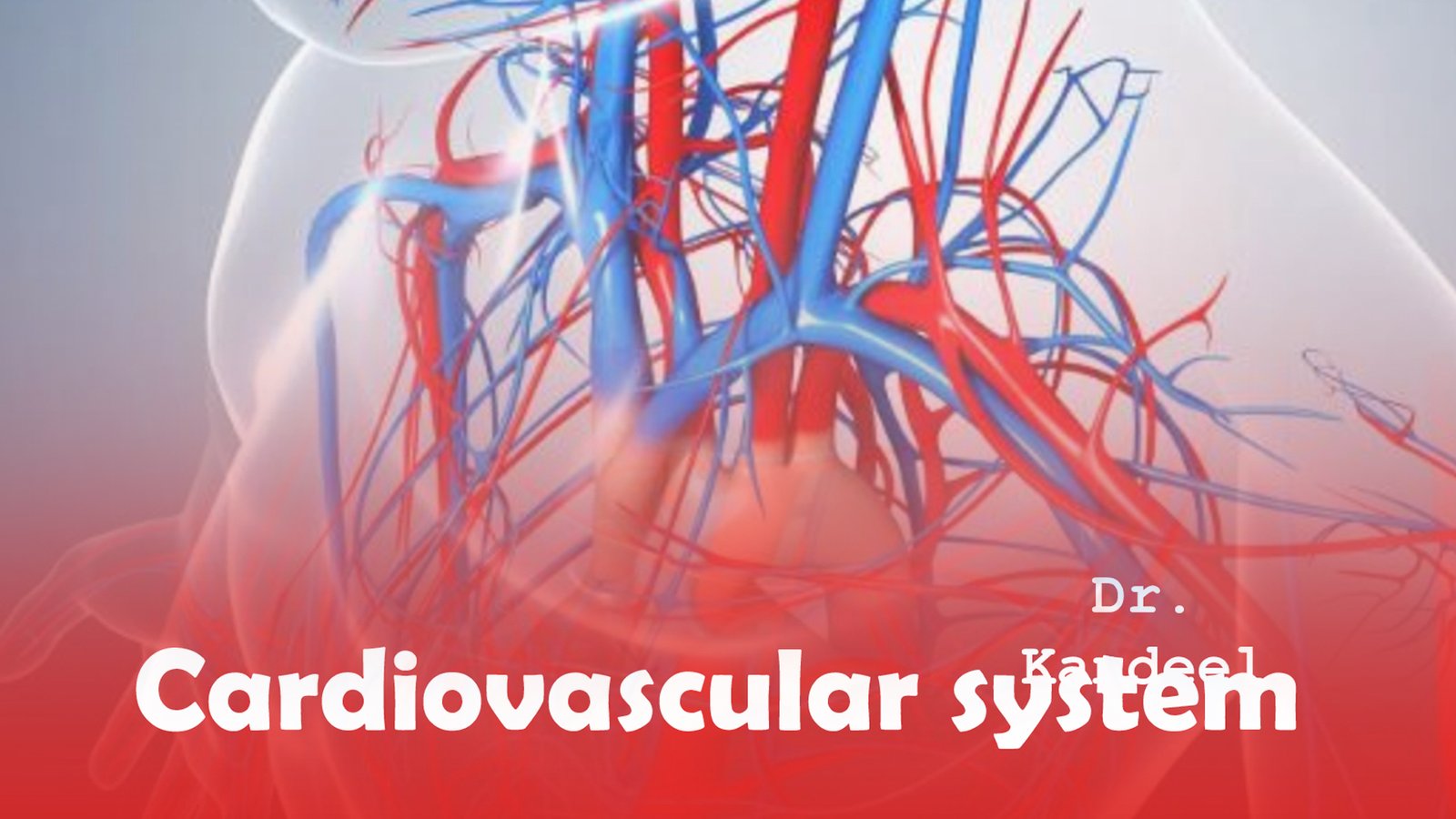 Second semester : Vascular system