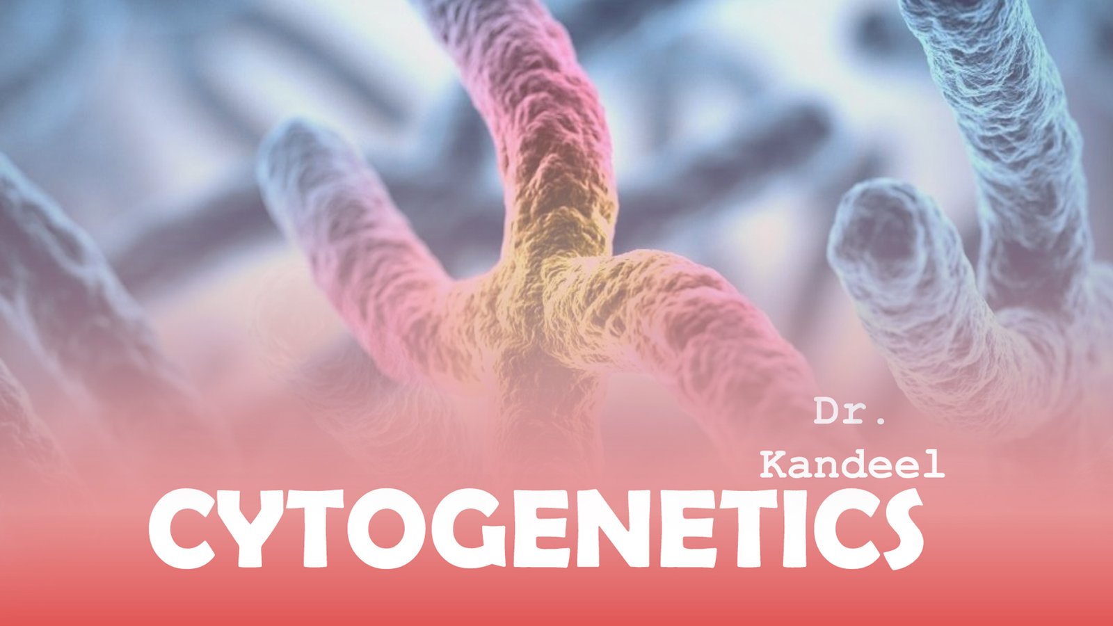 Histology part 1 : Cytogenetics